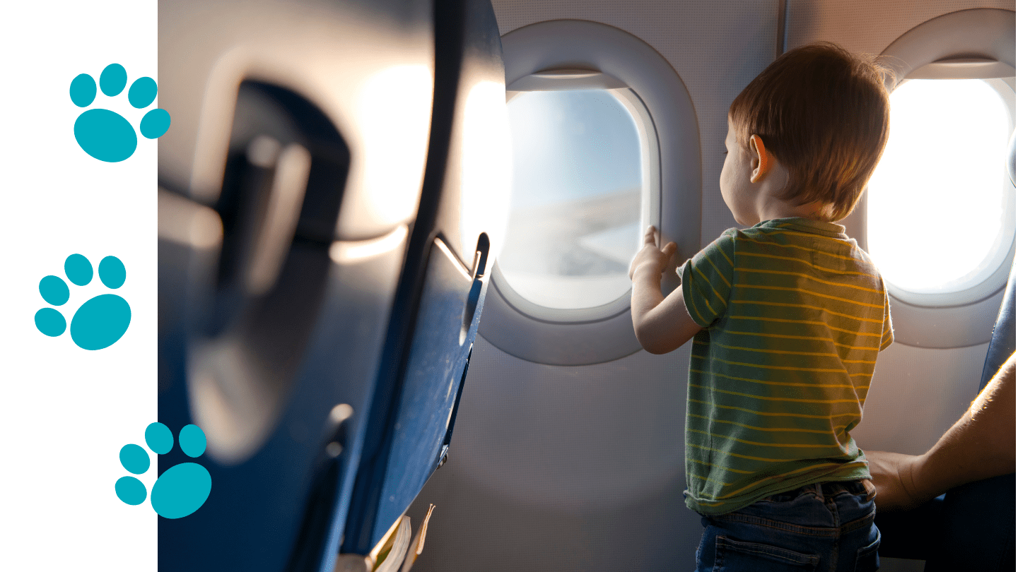 ON BOARD